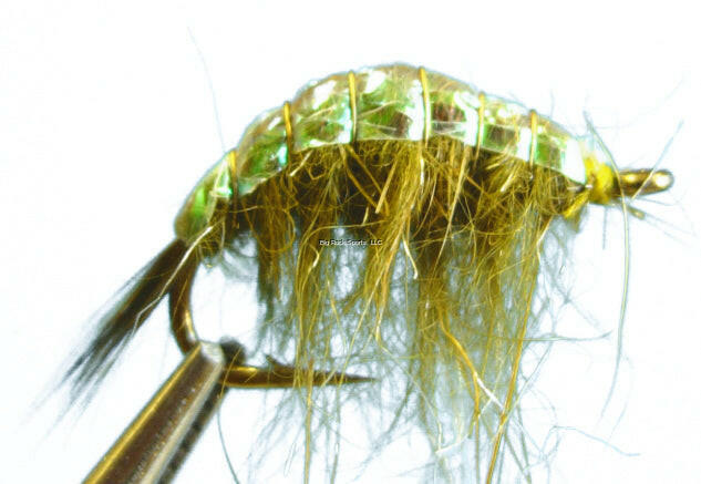 Dragonfly Fly Fishing Flies Assorted Big Rock Sports