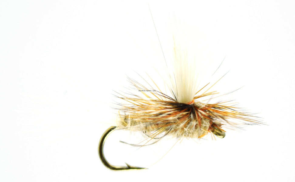 Dragonfly Fly Fishing Flies Assorted Big Rock Sports